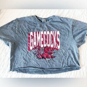 Gameday Couture Carolina Gamecocks Cropped Oversized Tee Crop Gray Size XL